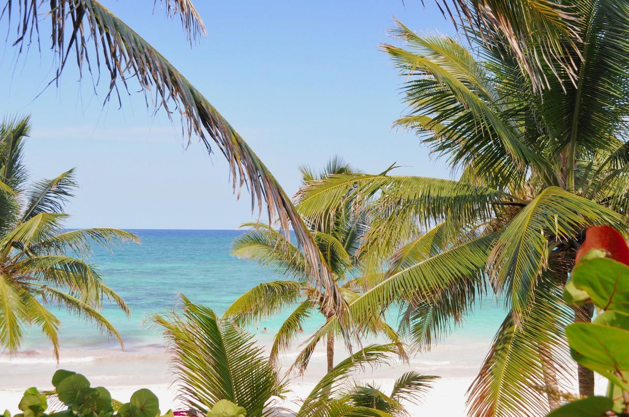 Playa Xcanan Tulum 호텔 외부 사진
